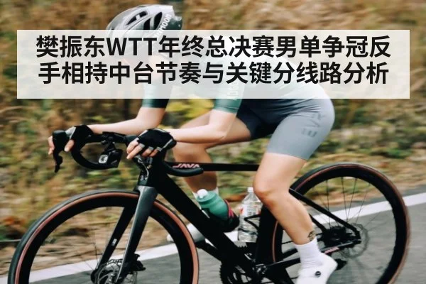 樊振东WTT年终总决赛男单争冠反手相持中台节奏与关键分线路分析